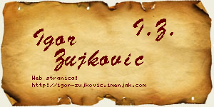 Igor Žujković vizit kartica